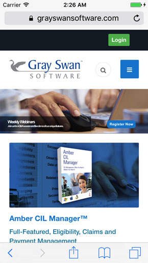 Gray Swan Software
